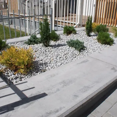 Rose 科沃布热格