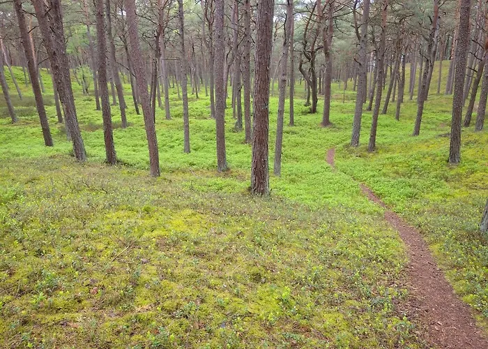 Rose Апартаменты Колобжег