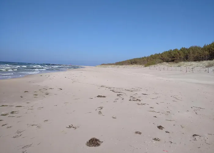 Апартаменты Rose