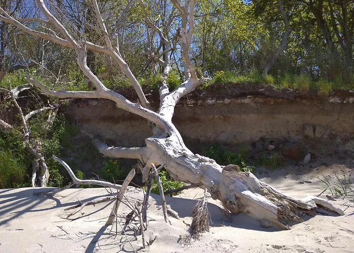 Апартаменты Rose *