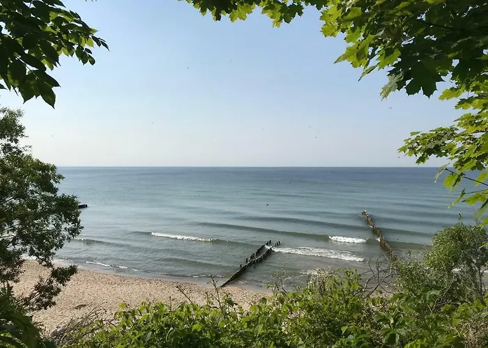 Апартаменты Rose *