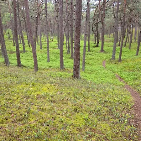 Rose Апартаменты Колобжег