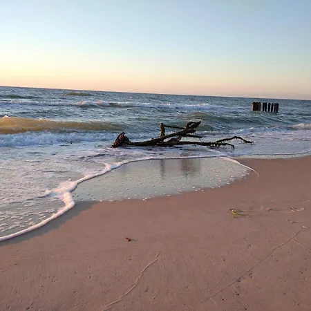 Апартаменты Rose