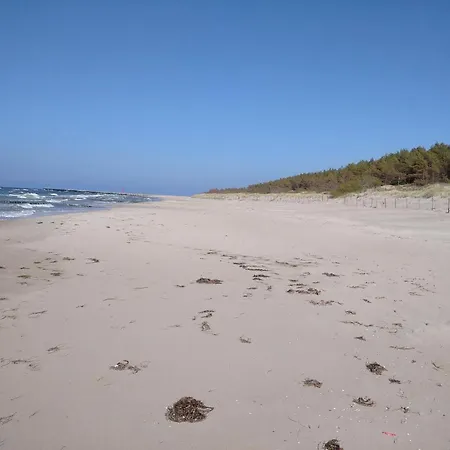 Апартаменты Rose