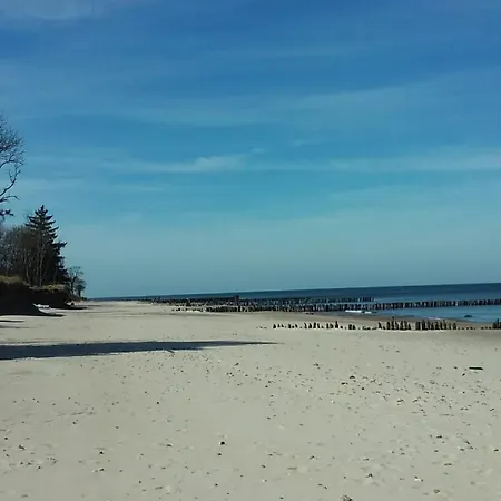 Rose Колобжег