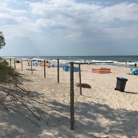 Апартаменты Rose *