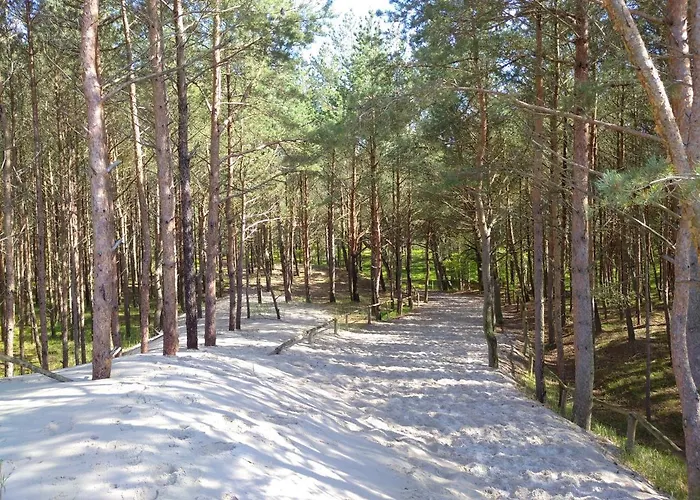 Apartmán Rose Kolobřeh